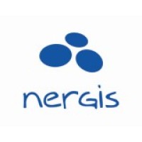 Nergis Consulting logo - Similar company to Bambú Sustentable