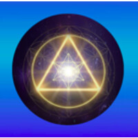 Quantum Life Llc