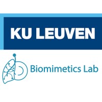 Biomimetics KU Leuven logo - Similar company to Synery