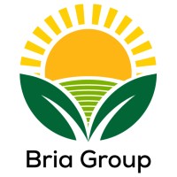 Bria Group logo - Similar company to Restorae