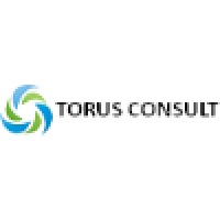 Torus Consult