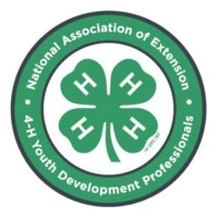 National Association of Extension 4-H Youth Development Professionals (NAE4-HYDP) logo - Similar company to Ideas (Institute For Development, Evaluation, Assistance & Solutions)