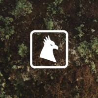 Amazon Share logo - Similar company to Navegam