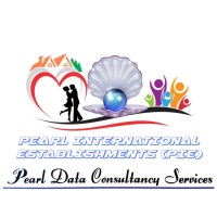 Pearl Data Consultancy Services logo - Similar company to Data Den