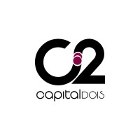 Capital Dois logo - Similar company to Boreal System