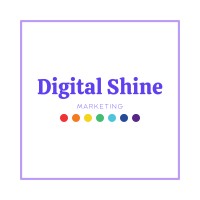 Digital Shine Marketing logo - Similar company to No Filter Digital Marketing
