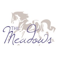 The Meadows Stabes logo - Similar company to Perth Endodontics
