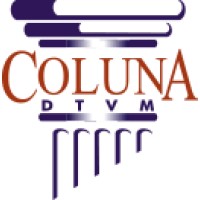 Coluna DTVM logo - Similar company to Xxvinte | Innovation Hubs