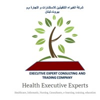 Health Executive Experts logo - Similar company to Health Info Tech