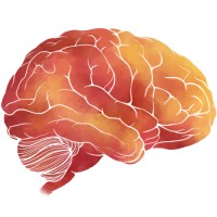 Cognitive Neuroscience Research Internship logo - Similar company to Cognitive Laboratories - Experience Research