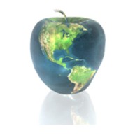 Vallas Group, Inc. logo - Similar company to Government Solutions Group