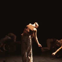Awakening Dance Company logo - Similar company to Needs Dance Crew
