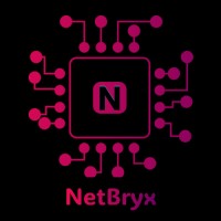 NetBryx logo - Similar company to Kodeative