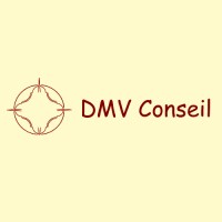 DMV Conseil logo - Similar company to Excelia Audit