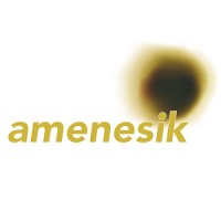 Amenesik SARL logo - Similar company to Cloudorbit