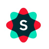 Solver AI logo - Similar company to Solver