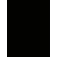 GSL DIS TICARET VE GIDA LTD. STI. logo - Similar company to Pine Logistics