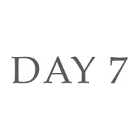 Day 7 logo - Similar company to Day7 It Services Llc & Gerp Tech ( India )