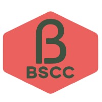 BACHITAR SINGH CEILING FIX CONTRACTING logo - Similar company to Mazhar Ali Technical Services Llc Dubai