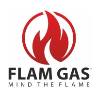 FLAM GAS S.r.l. logo - Similar company to Econex S.R.L.