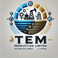 TEM Holdings Limited logo - Similar company to Tie Consulting