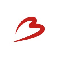 Brussels Airport logo - Similar company to Compusearch Bv