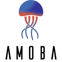 Amoba Software logo - Similar company to Kurodev