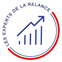 Les Experts de la Relance logo - Similar company to Ideas - Document Advisors