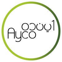 Ayandeh Negaran Co. (AYCO) logo - Similar company to Netwayprime | نت وی پرایم