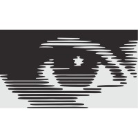 Laila Foundation logo - Similar company to Oncourse