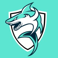 BDS KEDGE BS PARIS logo - Similar company to Bds Titans