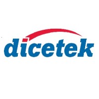 Dicetek LLC logo - Similar company to Dubai Leading Technologies
