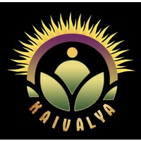 Shifu Jingshen logo - Similar company to Alpha Physician Resources