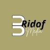 Bridof Media logo - Similar company to Peacemaker: Secured Way To Pay