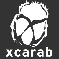 Xcarab Inc