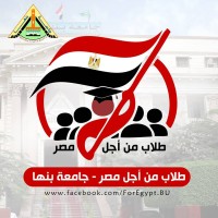 اسرة من اجل مصر logo - Similar company to Students For Egypt Dmu - Sfe
