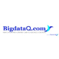 BigDataQ logo - Similar company to Datasource.Ai