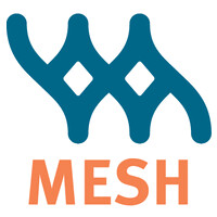 MESH Communications Group, Inc. logo - Similar company to Yatirim Group