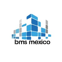 BMS México logo - Similar company to Bm System