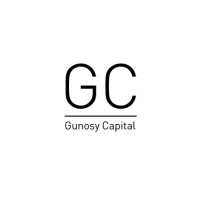 Gunosy Capital Inc. logo - Similar company to Evalue Capital