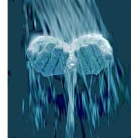 STH Water