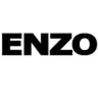 ENZO logo - Similar company to Centro Profesional Joyfe