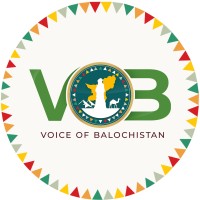 Voice of Balochistan logo - Similar company to Digibizz