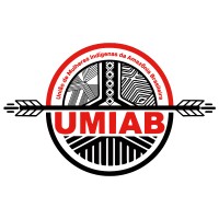 União das Mulheres Indígenas da Amazônia Brasileira (UMIAB)