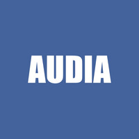 Algam Audia logo - Similar company to Algam Enterprise France