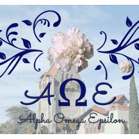Alpha Omega Epsilon - Beta Upsilon Chapter logo - Similar company to Solakair