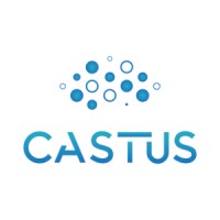 CASTUS logo - Similar company to Castus Info