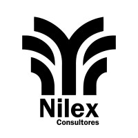 Nilex Consultores logo - Similar company to Yusapi S.L.