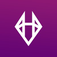 Nefarious Game Studios logo - Similar company to Blueweb Software Solutions