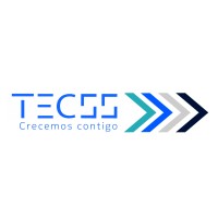 Nokia Tecss logo - Similar company to Smitel Group
